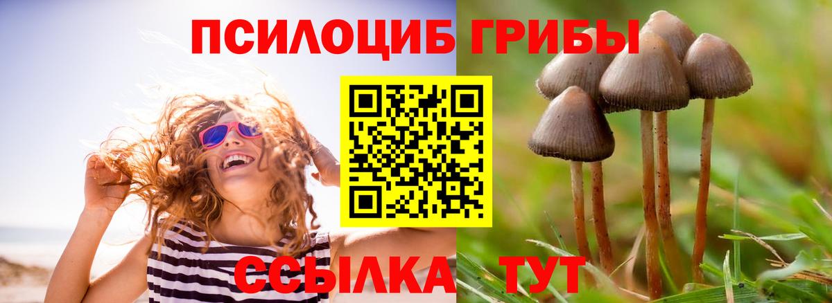 Курчатов  Галлюциногенные грибы GOLDEN TEACHER  Вход с VPN 