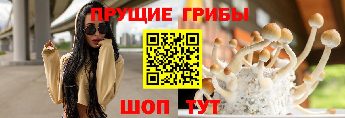 Псилоцибиновые грибы GOLDEN TEACHER Курчатов